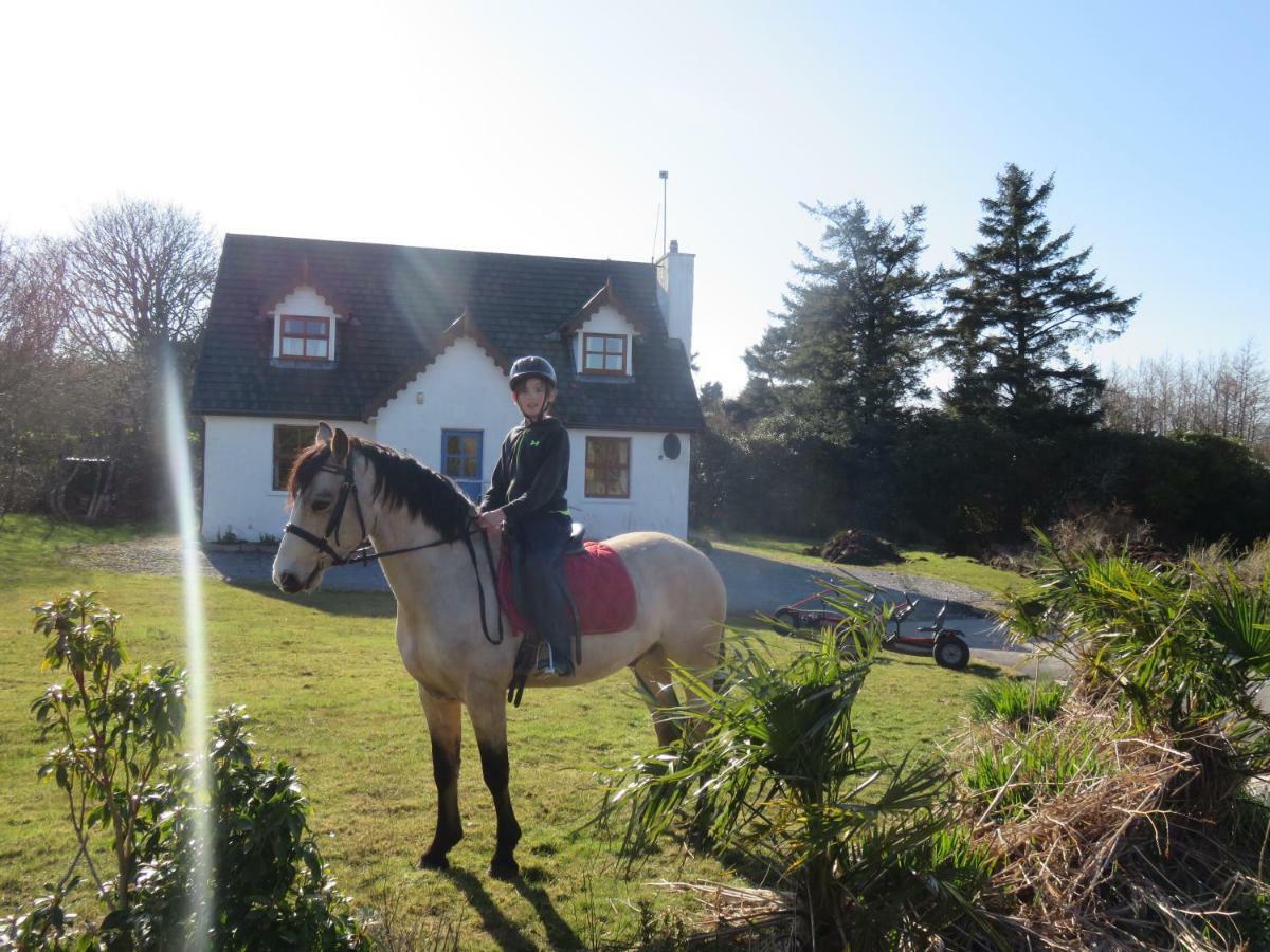 Letterfrack Farm Cottage In Village On A Farm Beside Connemara National Park Экстерьер фото